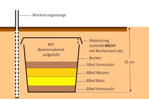 Aufbau und Inhalt der Fallen